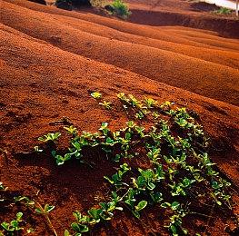 百度：AI专利申请量、授权量国内第一