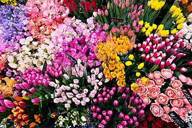 《微软飞行模拟》Xbox Series X＆S版游戏截图