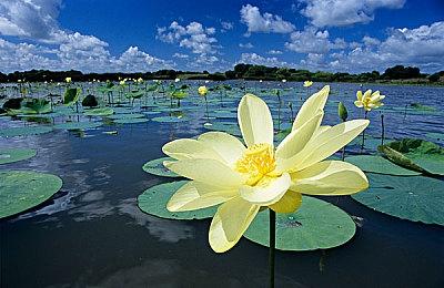 《SWORD BISTRO VR》Steam抢测 幻想风切菜料理