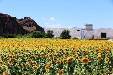 《飞越13号房》下半部《反击》篇PV发布，来一场属于我们的反击! 